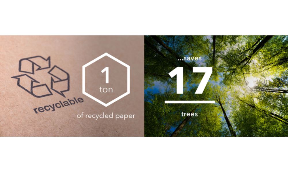 5 Common Myths About Sustainable Packaging